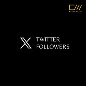 Twitter Followers