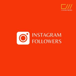 Instagram Followers